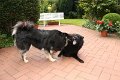 franzi (14)